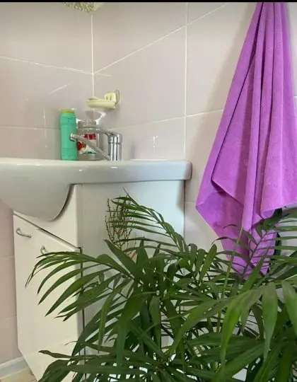 Guest house light  2х местный — номер, с. Боконбаево