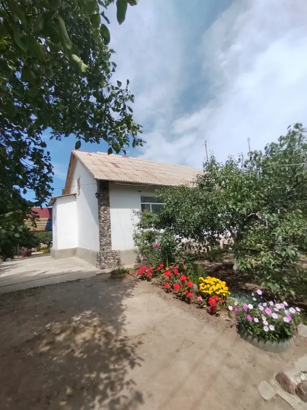 U Tatiany Guesthouse — guest house, v. Tamga