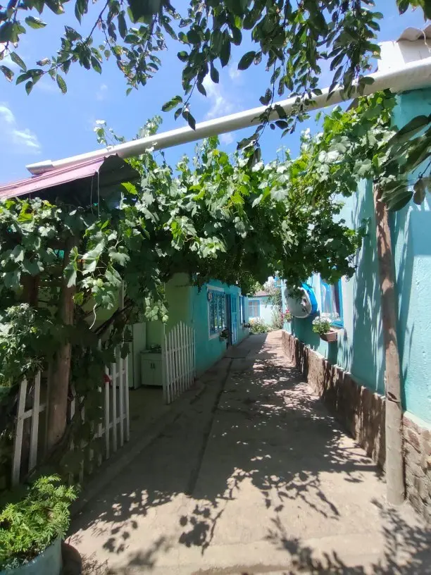 U Berega Guesthouse — guest house, v. Tamga