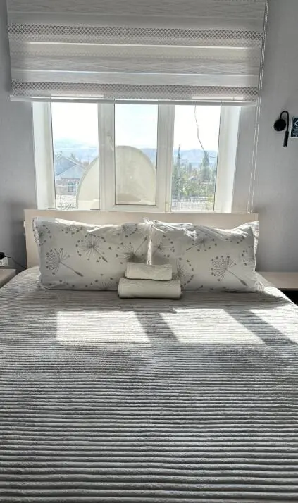 Двухместный Люкс — room, Talas