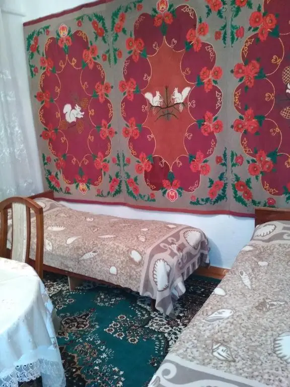 Двухместный номер в Tynar — room, Kochkor