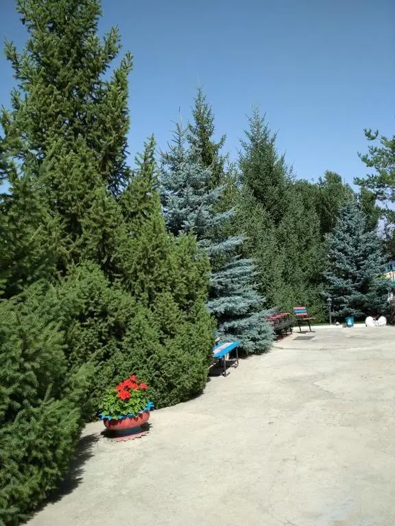 Койко-место в Tynar — bed space, Kochkor