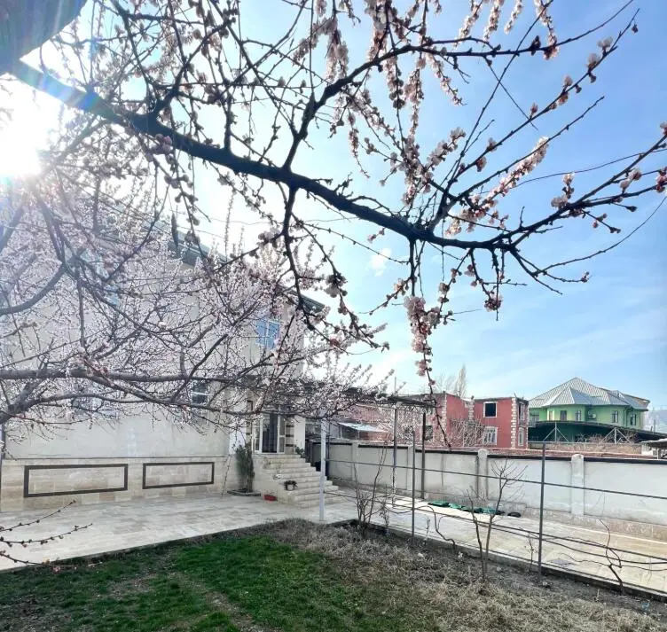Abs hostel — hostel, Osh