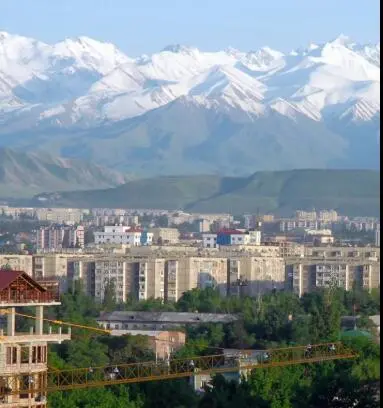 Cozy Apartment in Mikrorayons — apartment, Bishkek
