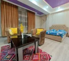 One-room studio near Bishkek Park — apartment, Bishkek