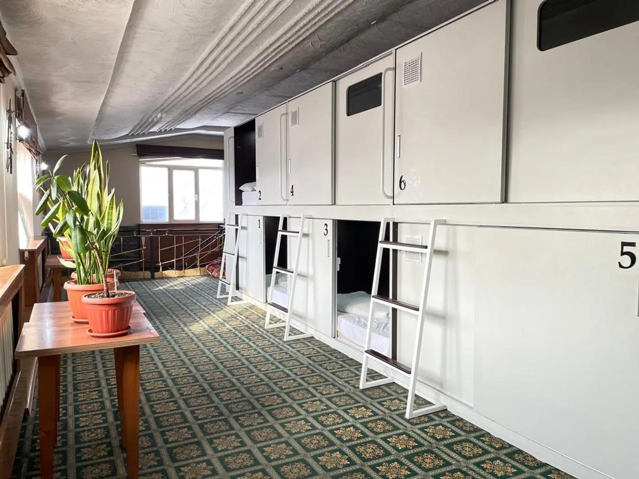 Хостел-TechnoCave — guest house, Bishkek