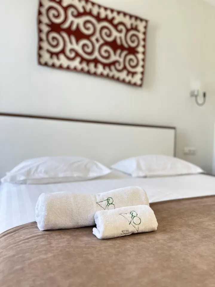 Deluxe Double Room — room, Karakol