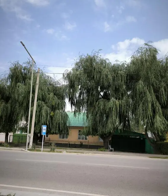 Guast Hous Iva — guest house, Karakol