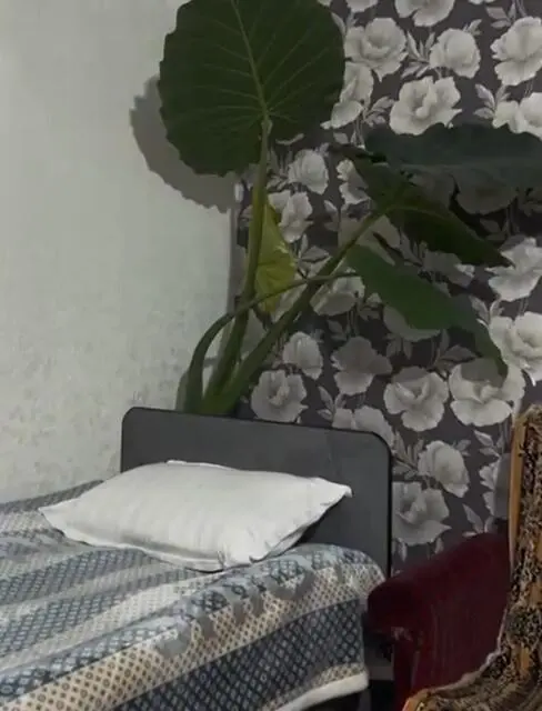 Triple Room — room, Karakol