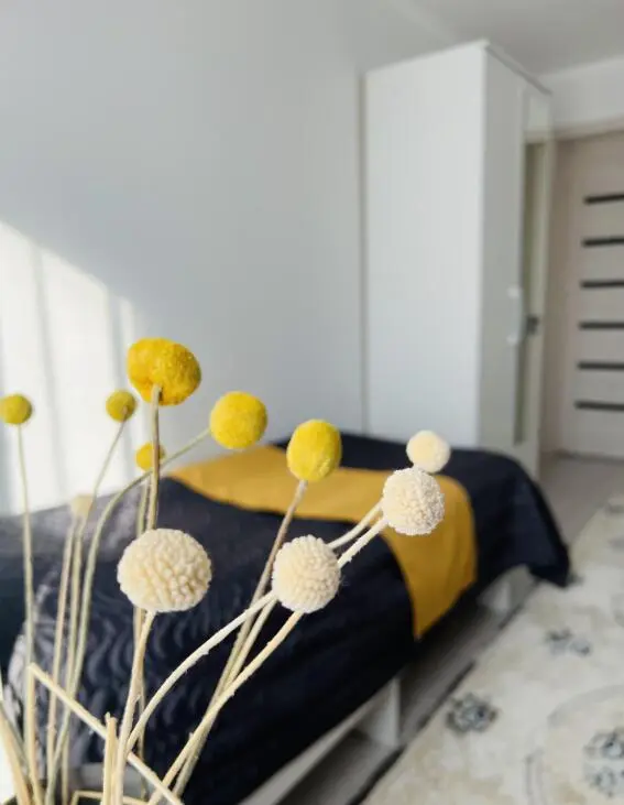 Single Room — room, Karakol