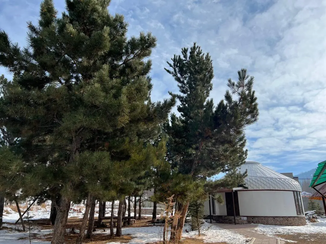 Five-Person Room — room, Karakol