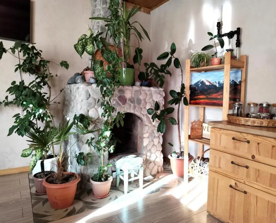 Single Room — room, Karakol