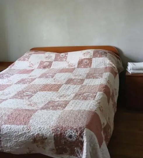 Double Standard Room — room, Bishkek
