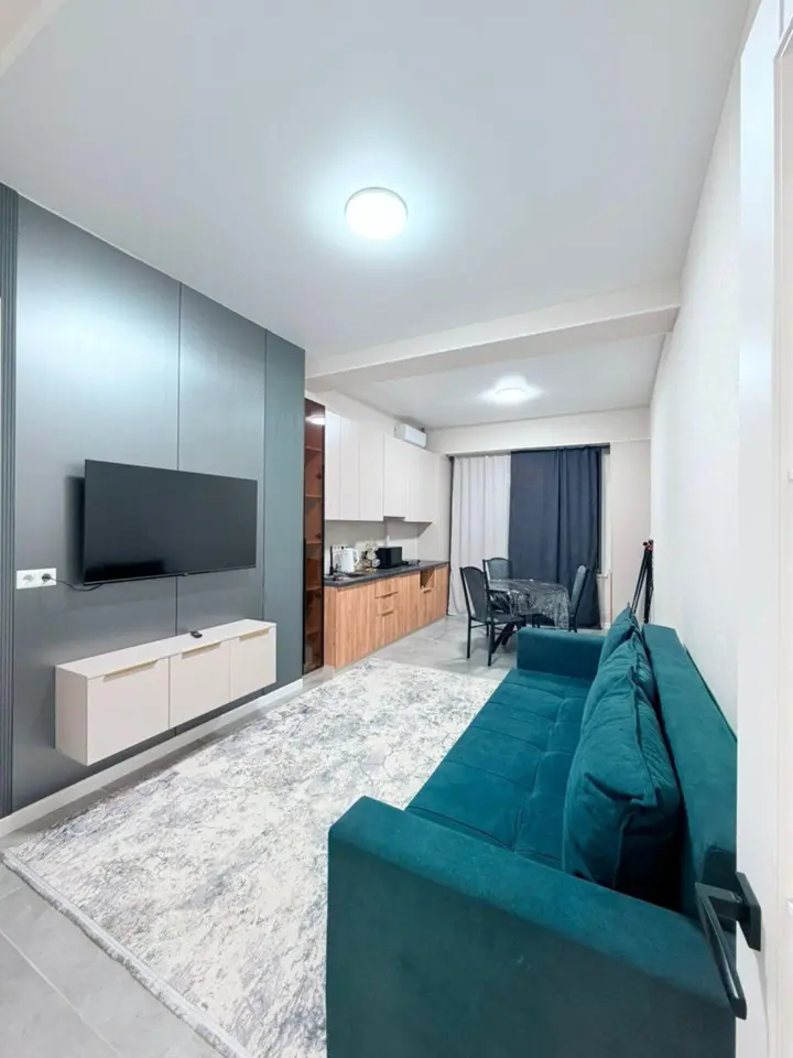 Daily Rental Elite Apartment on Frunze/Umetaliev — apartment, Bishkek