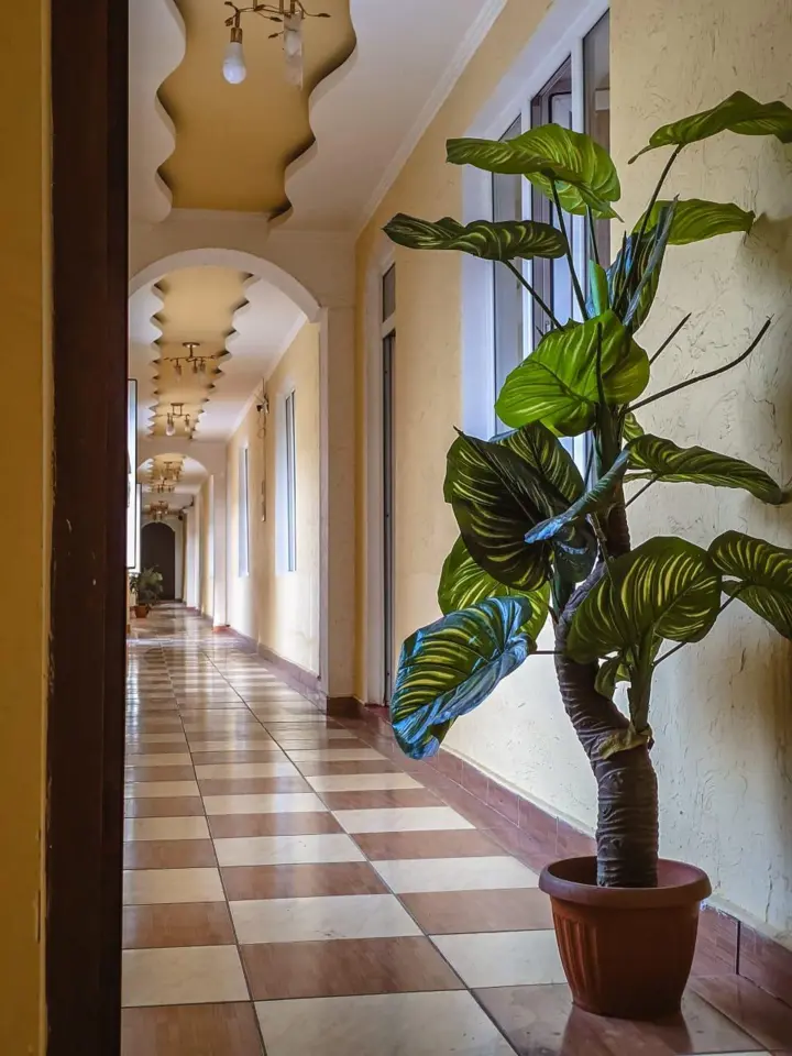 Altyn Ordo Hotel — hotel, Kyzyl-Kiya