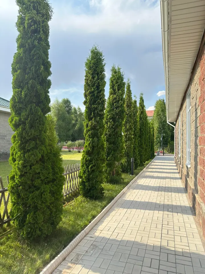 Cottage S9/4 — cottage/house, v. Chok-Tal