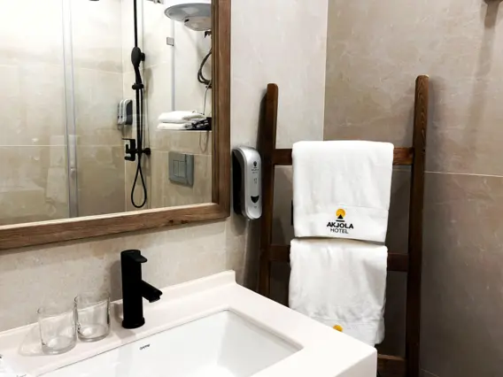 Standard Double Room (DOUBLE) — room, Bishkek