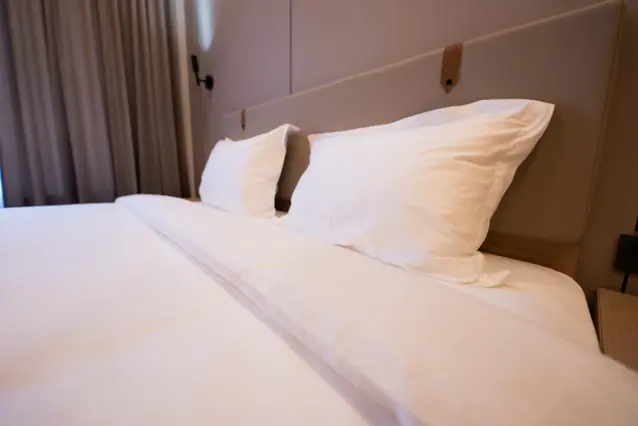Superior Double Room — room, Bishkek