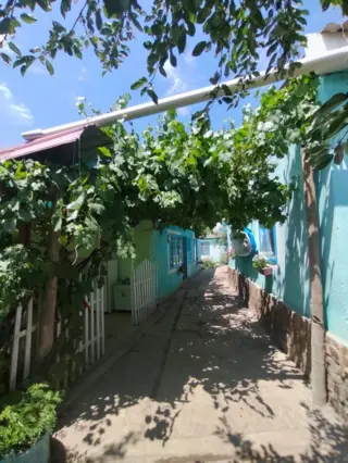 U Berega Guesthouse — guest house, v. Tamga