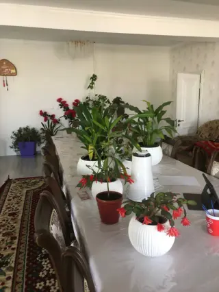 Двухместный — room, Karakol