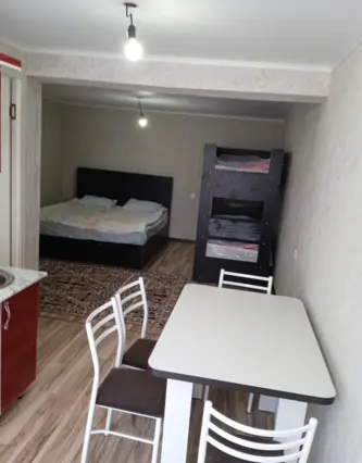 Гостевой дом "Береке" — guest house, v. Baktyu-Dolonotu