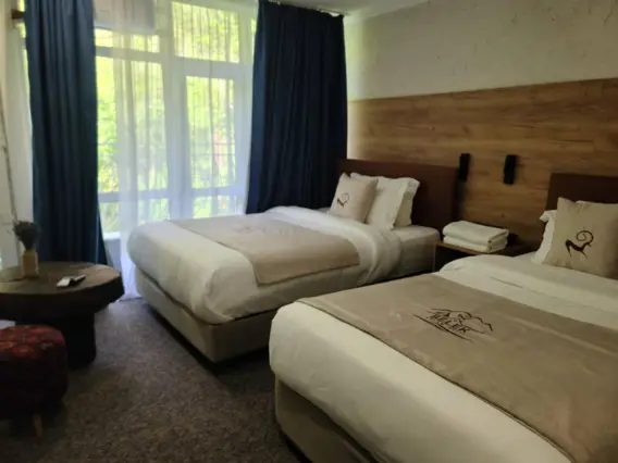 Double Suite — room, Toktogul