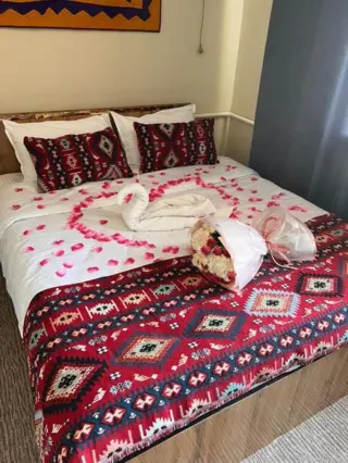 Single Lux Room — room, Osh