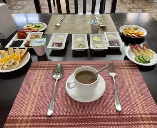 Çift Kişilik Süit — oda, Manas (Celalabad)