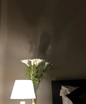 Double Lux Room — room, Osh