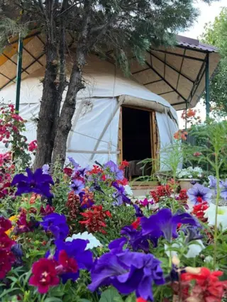Юрта в Happy Nomads — room, v. Karakol (d. Ak-Suy )