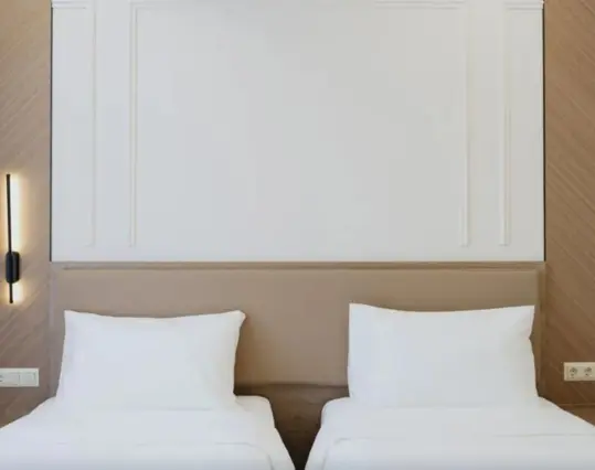 Twin Standard Room — room, Bishkek