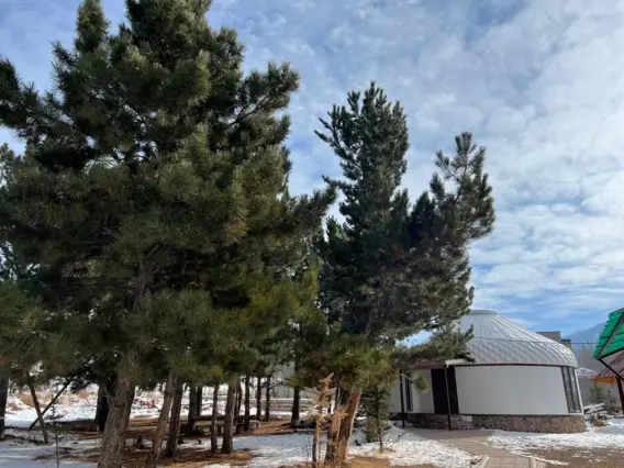 Beş Kişilik Oda — oda, Karakol