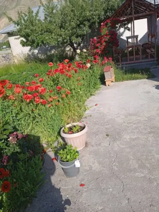 Maison d'hôtes Ata Konush — maison d'hôtes, Sopu-Korgon