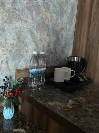 Twin Standard — room, Bishkek