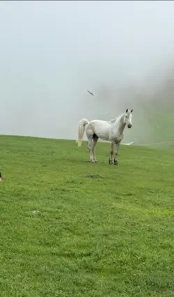 Гостевой дом Байчечекей кумысолечение — гостевой дом, Бишкек