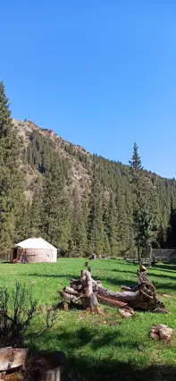 Большая юрта — юрта, Орнок