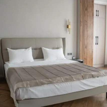 Double Deluxe Room — room, Bishkek