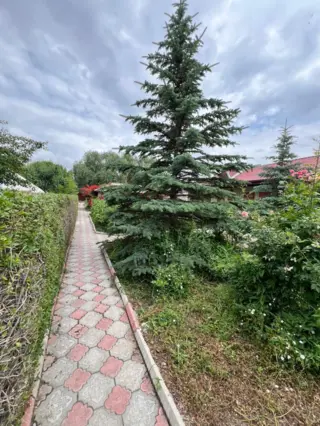 Гостевой Дом «ПАРУС» — гостевой дом, Балыкчы