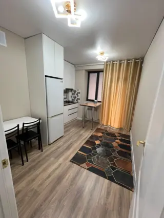 Apartment in Technopark area (Almatinskie Gorki) — apartment, Bishkek