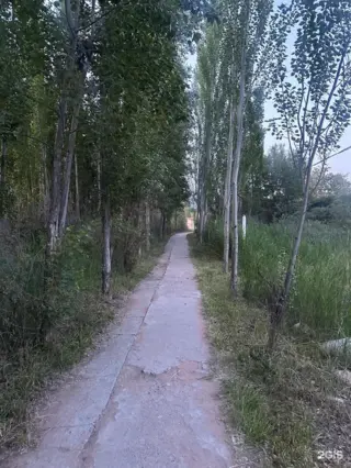 Трехместный номер — номер, с. Бостери