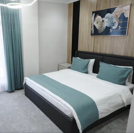 Standard Double Room — room, Manas (Jalal-Abad)