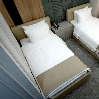 Standard Twin Room — room, Manas (Jalal-Abad)