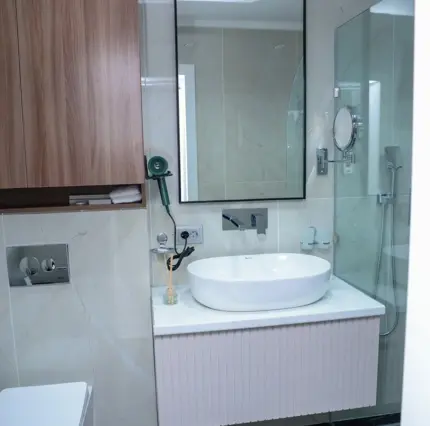 Deluxe Room — room, Manas (Jalal-Abad)